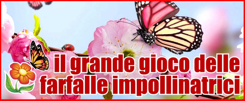 Il grande gioco delle farfalle impollinatrici