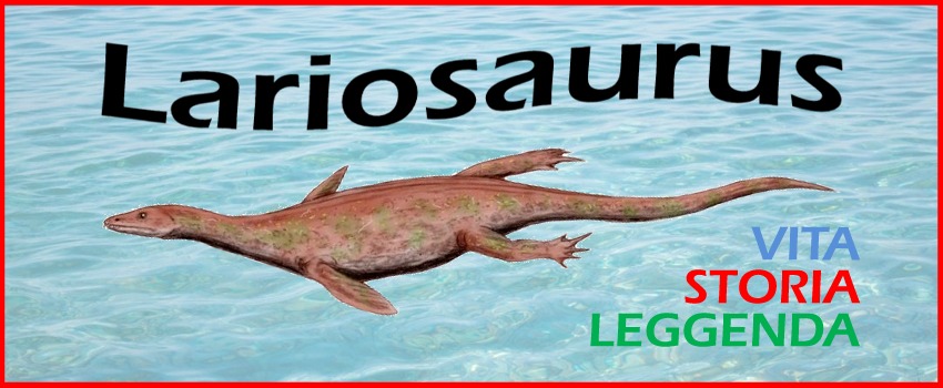 Lariosaurus