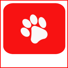 Animali